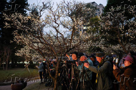 People take photos of plum blossoms at Chiang Kai-shek Memorial Hall in Taipei