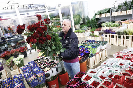 Los catalanes regalarn 7 millones de rosas por Sant Jordi, un 20% ms que el pasado ao
