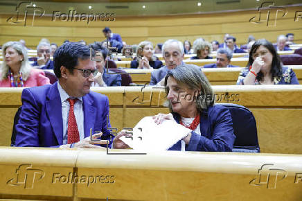 Teresa Ribera, comparece en el Senado para ofrecer sus explicaciones sobre la gestin de las inundaciones producidas por la dana