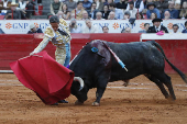 Corrida en la Plaza de toros Mxico de Ciudad de Mxico