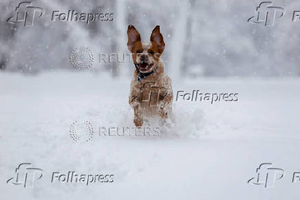 Heavy winter snowfall in Belgrade