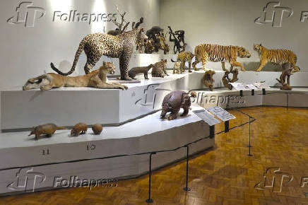 Museu de Zoologia da Universidade de So Paulo