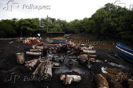 Manglares, el desafo de Panam en conservarlos y aprovechar sus servicios ambientales