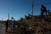 Aftermath of Hurricane Rafael in Cuba's Artemisa province