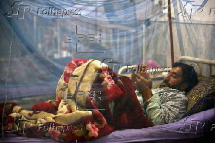 Dengue fever cases on rise in Peshawar