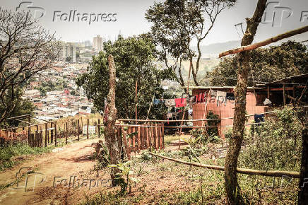 Vista geral da Comuna da Terra Irm Alberta