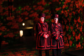 Poppy Fields at the Tower of London