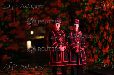 Poppy Fields at the Tower of London