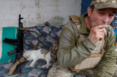Ukrainian serviceman smokes while a cat sleeps next to his Kalashnikov AK-74 assault rifle at a position in a front line in Donetsk region