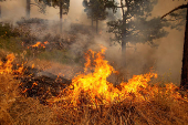 Cal Fire firefighters tackle the Bridge Fire threatening mountain communities near LA