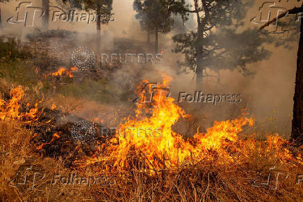 Cal Fire firefighters tackle the Bridge Fire threatening mountain communities near LA