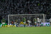 Palmeiras X Atltico MG