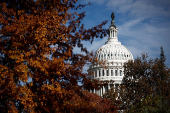 A view of the U.S. Capitol dome in Washington, D.C.