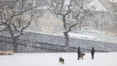 Snowfall in Budapest