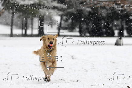 Snowfall in Budapest