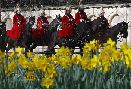 FILE PHOTO: Daffodils bloom in St James's Park as members of the Household Cavalry ride along The Mall in London