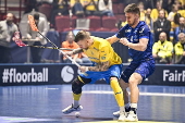 Men's World Floorball Championships final Sweden vs Finland