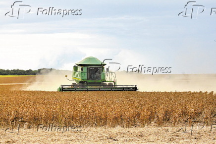 Colheita de soja em Canarana/MT
