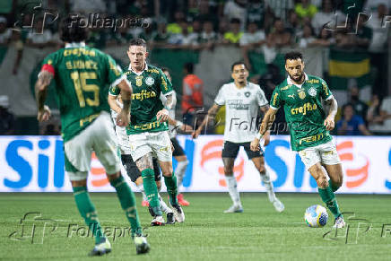 Partida entre palmeiras e botafogo pelo campeonato brasileiro de futebol 2024