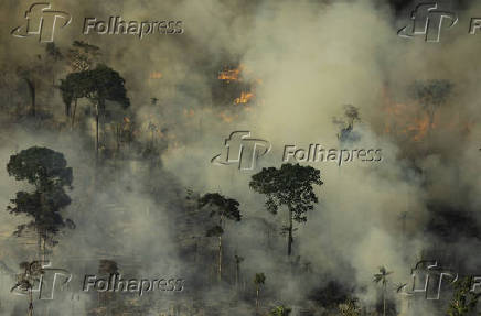 Incndio na regio de Porto Velho, em Rondnia