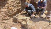 Researchers uncover remains of Ice Age mastodons in Peru