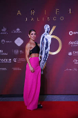 Alfombra roja de la 66 edicin de los premios Ariel en la mexicana Guadalajara