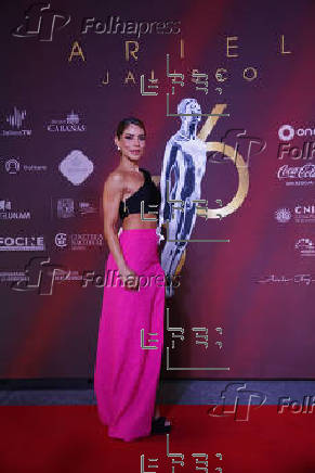 Alfombra roja de la 66 edicin de los premios Ariel en la mexicana Guadalajara