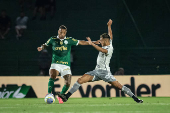 Partida entre Palmeiras e Attico-MG pelo Campeonato Brasileiro 2024