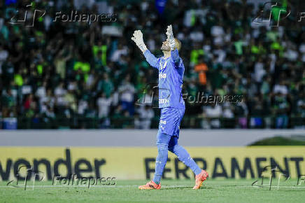 BRASILEIRO A 2024, PALMEIRAS X ATLETICO-MG