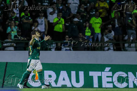 BRASILEIRO A 2024, PALMEIRAS X ATLETICO-MG