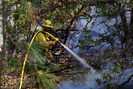 Wildfire near Forest Ranch, California