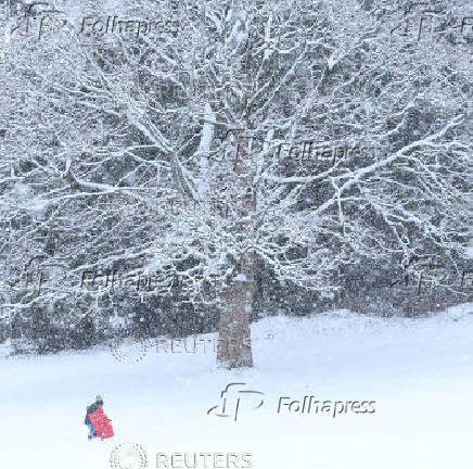 A child is sledging in Aviemore, Scotland