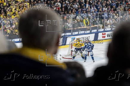 Spengler Cup 2024 - Straubing Tigers vs HC Davos