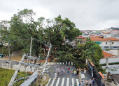 Forte chuva derrubou poste e rvore na zona leste de SP