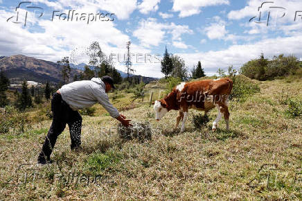 Aftermath of wildfires on the outskirts of Quito