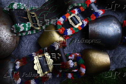 Cows get traditional bells before the annual Viehscheid festival in Bad Hindelang