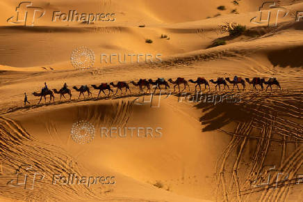 A camel caravan moves along the dunes at the Erg Chebbi sand dunes in the Sahara desert outside Merzouga