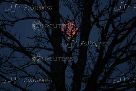 The full moon, also known as the Pink moon, rises in Luka village,