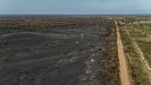 Incendio forestal en el Pantanal brasileo