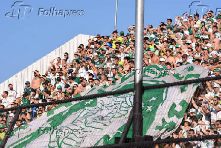 Red Bull Bragantino e Palmeiras