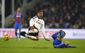 Premier League - Crystal Palace v Fulham