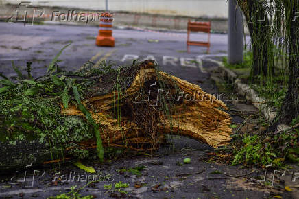 Chuva causa estragos em So Jos dos Campos