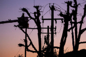 Workers repair a power line damaged by Eaton Fire in Altadena