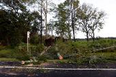 Aftermath of Hurricane Helene in Crawfordville