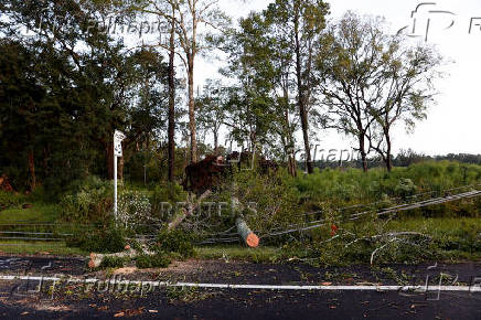 Aftermath of Hurricane Helene in Crawfordville