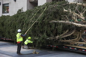 Rockefeller Christmas tree arrives to Rockefeller Center in New York