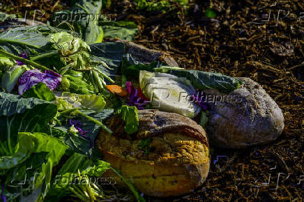 Desperdcio de alimento em compostagem urbana