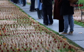 Field of Remembrance at Westminster Abbey in London