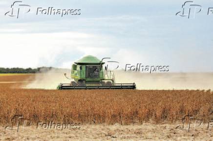 Colheita de soja em Canarana (MT)