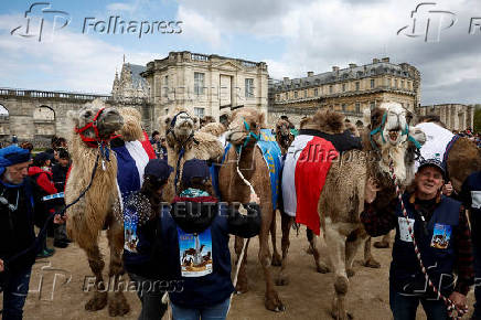 'The Amazing Parade' to mark the World Year of Camelids, in Vincennes